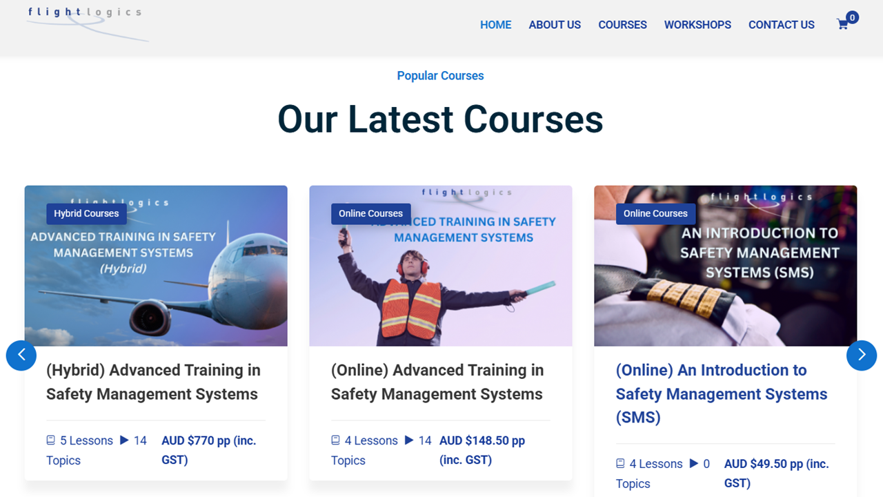 Flight Logics website